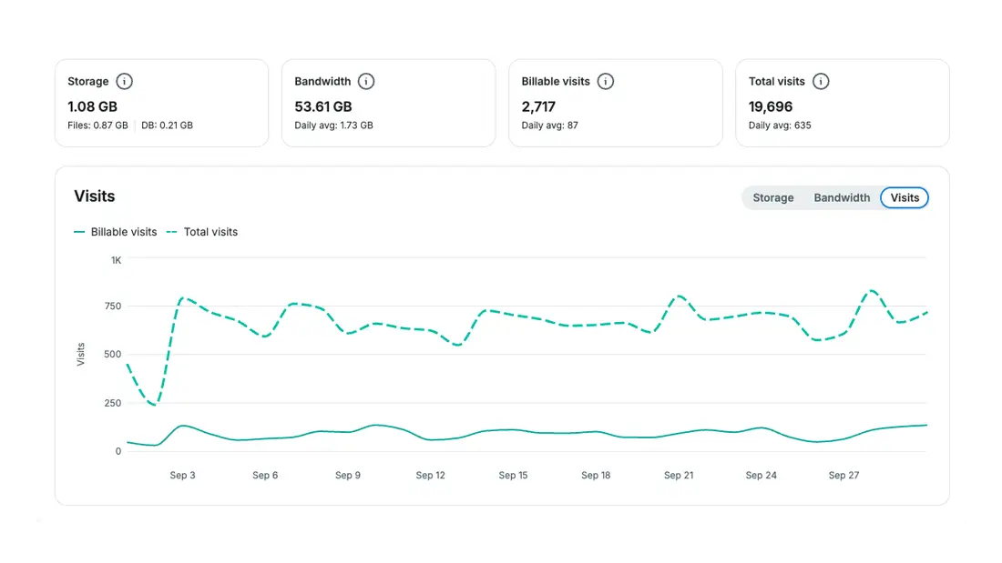 Website visit analytics